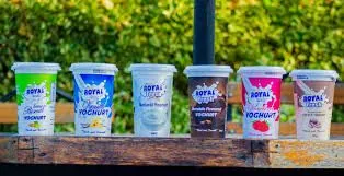 Royal yoghurt and dairy cups lined up outdoors